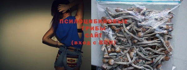МДПВ Белокуриха