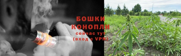 прущие грибы Белоозёрский
